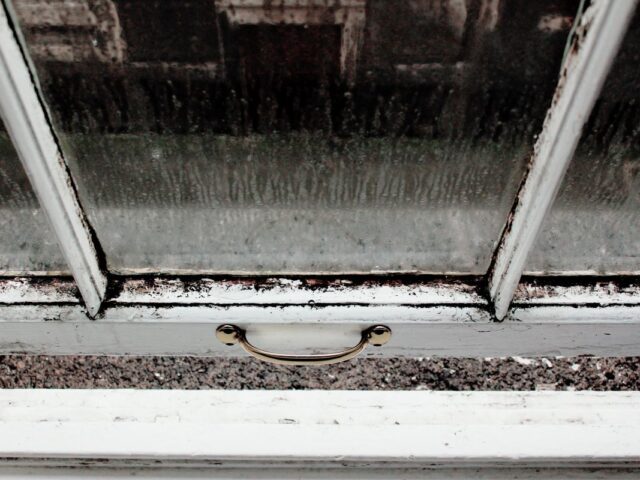 【コラム】冬の結露対策🍃